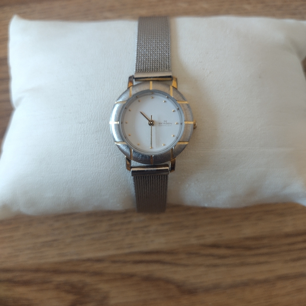 Women's Model 3SGS Skagen 25MM Quartz Watch
